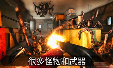 南极洲