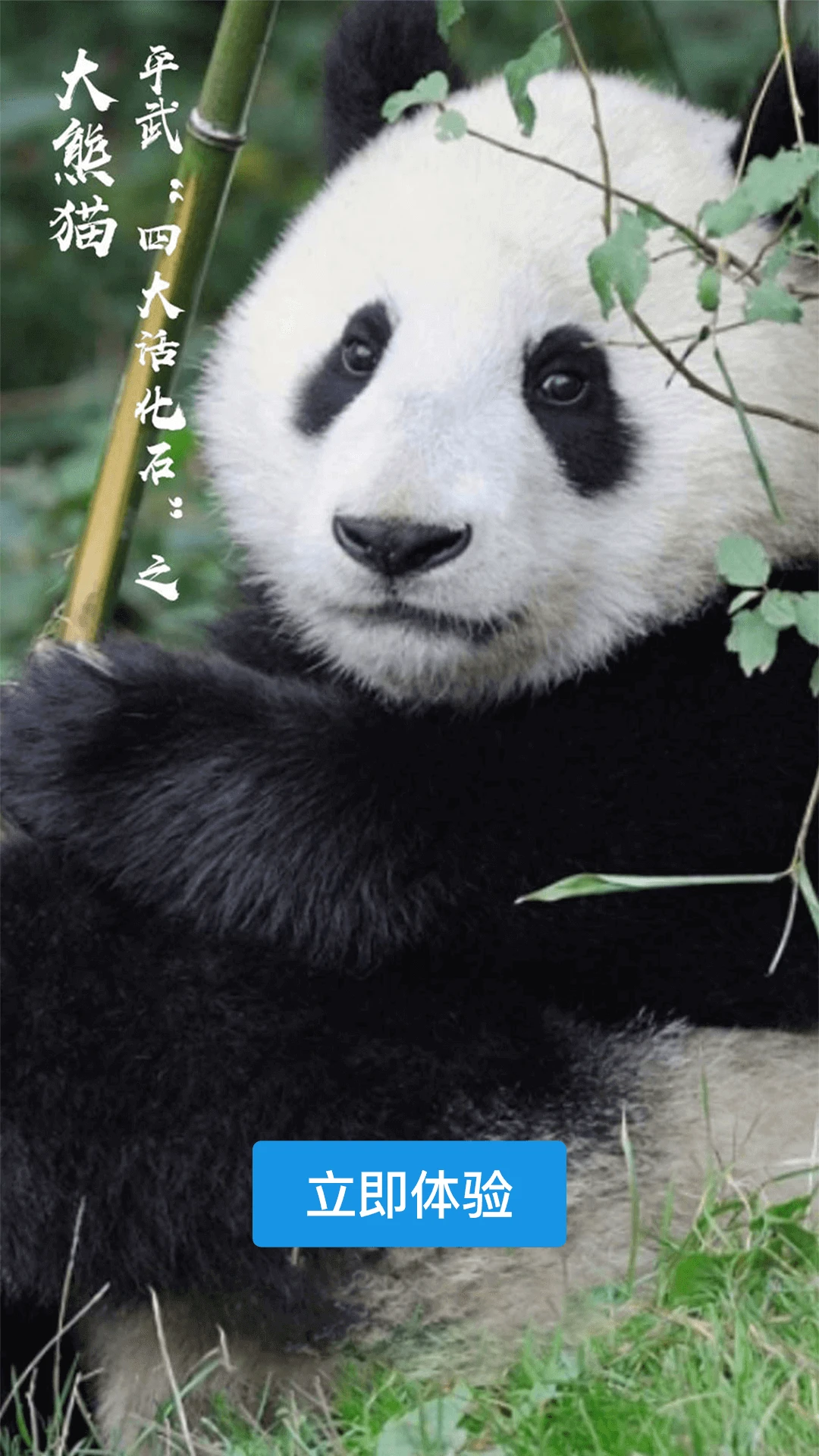 直播平武 直播平武