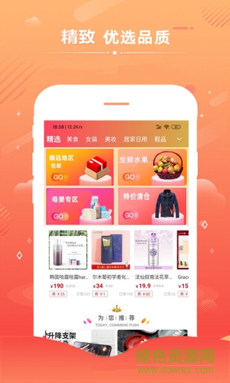 淘极券