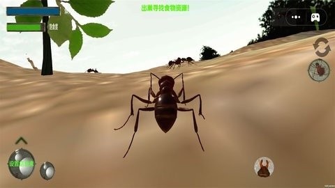 蚂蚁生存模拟器图1