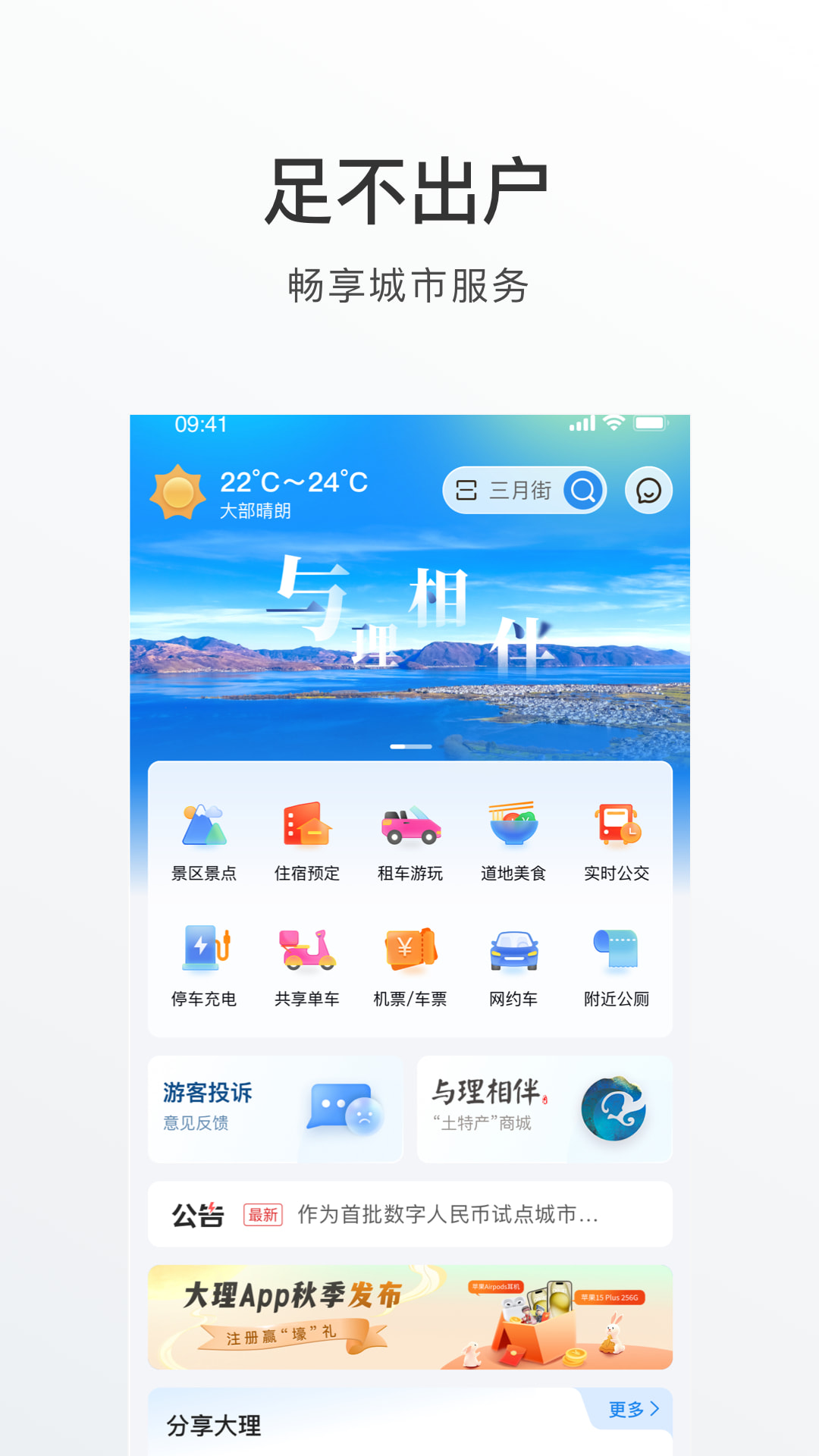 大理图3