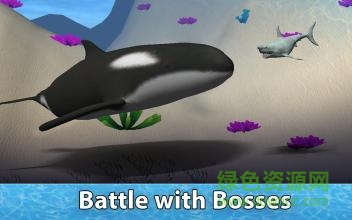 小格解说鲨鱼生存模拟器(Shark Simulator)图3