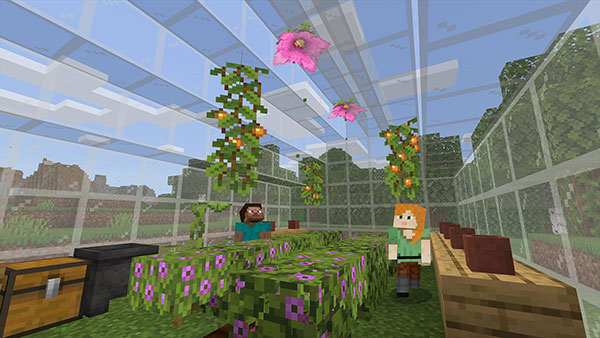 Minecraft Education安装器图4