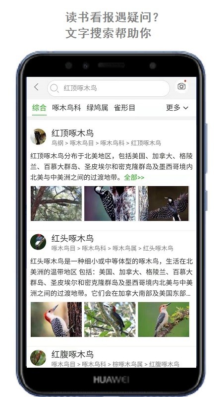 万物头条图3