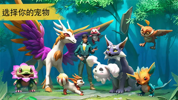 Amikin Village安装器图3