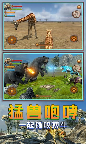 丛林老虎模拟器图4