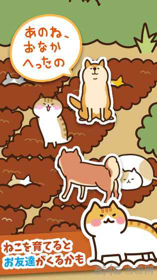猫咪田园破解版 安卓版v2.2.2图2