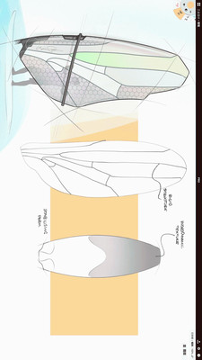 概念画板安卓完整版 中文汉化版v2024.05.3图2