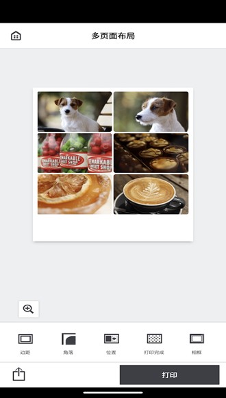 SELPHY Photo Layout 安卓最新版v3.1.1图2