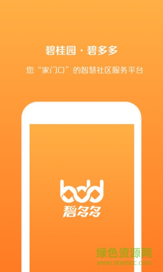 碧多多图3