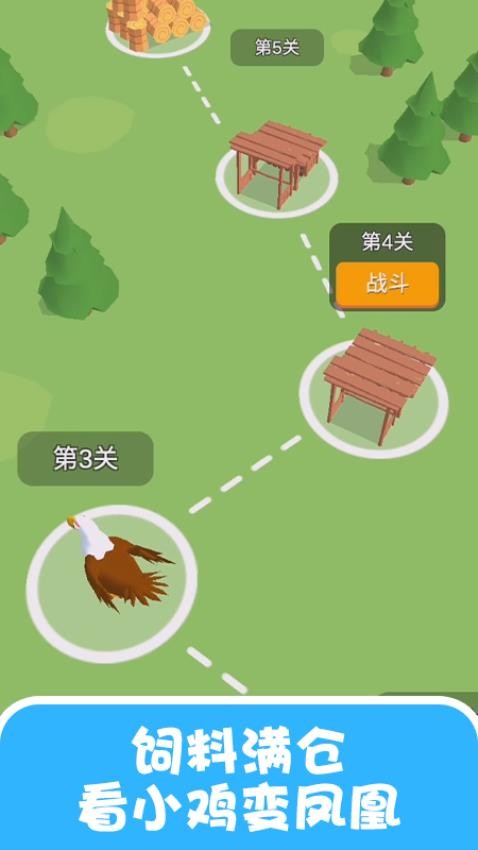 疯狂的小鸡图5
