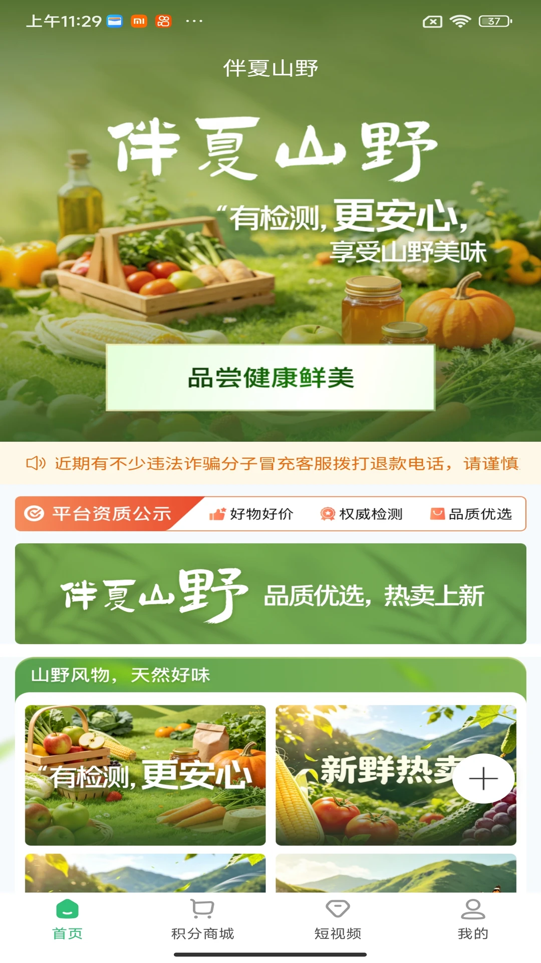伴夏山野图1