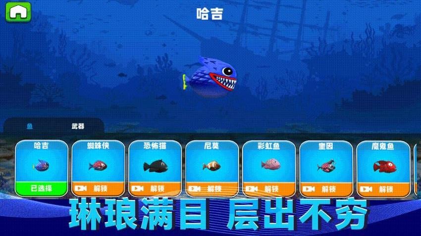 水上猫咪 水上猫咪
