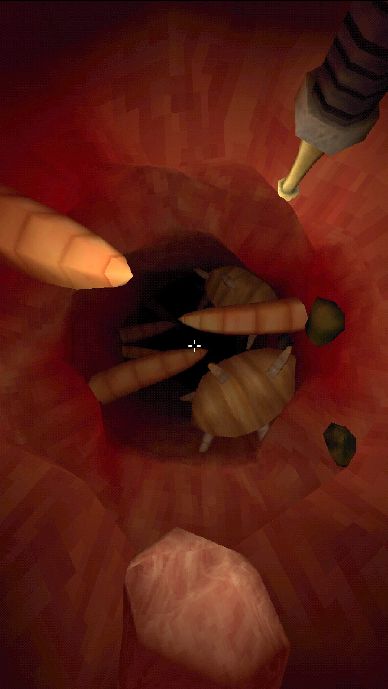 大肠复仇之旅图3