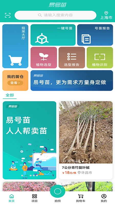 易号苗图1