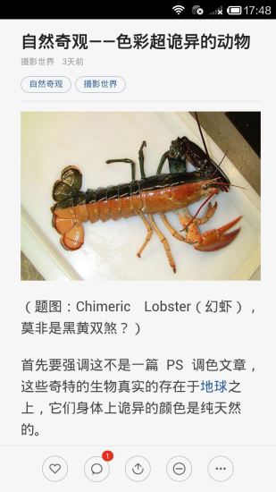 灵异惊悚奇闻图3