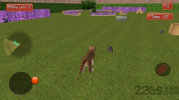 疯狂的猫与老鼠图3