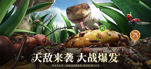 小小蚁国国际服(The Ants)图1
