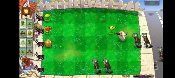 PVZ指导版3.0图1