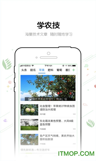 农管家七星瓢虫版图1