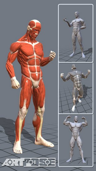 artpose 最新版6.8.65图4