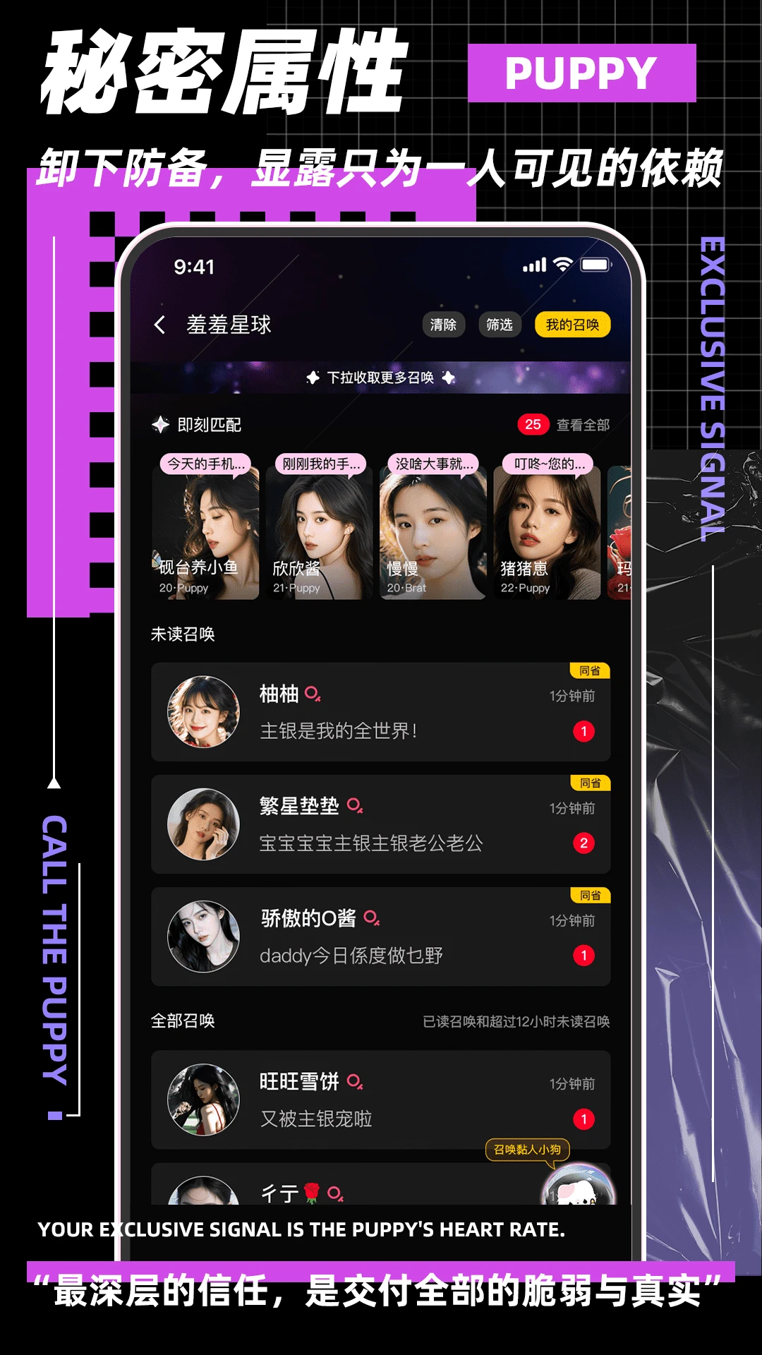 呼唤小狗图4