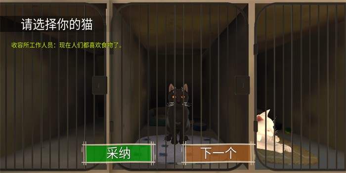 顽皮猫生活模拟图1