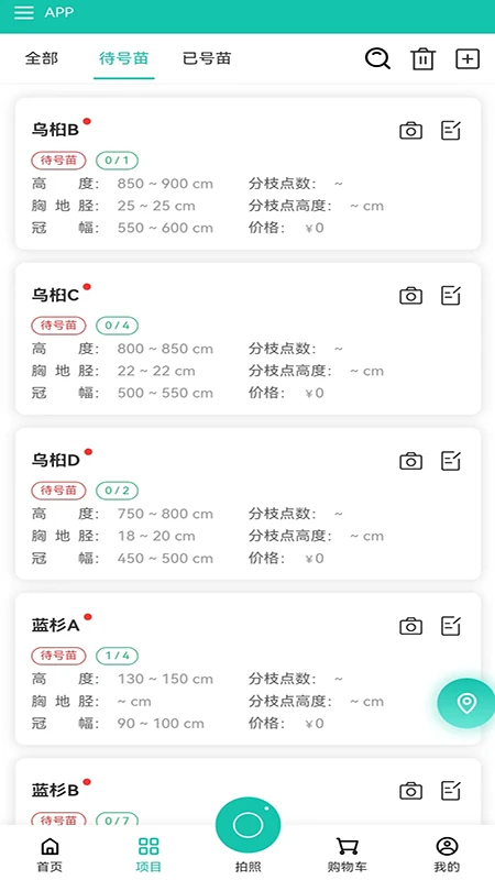 易号苗图2