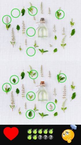 找不同找到所有 找不同找到所有