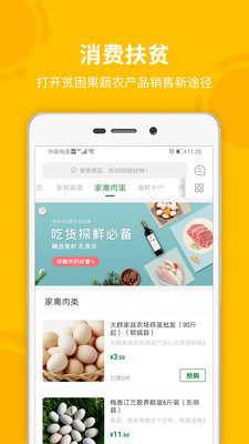 菏菜壹号图3