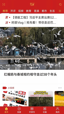 开屏新闻图1