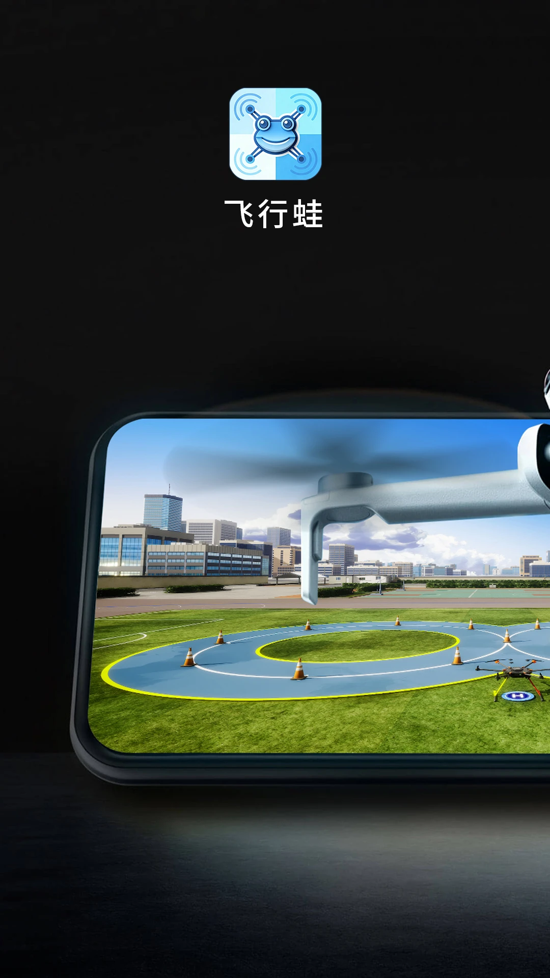 飞行蛙图1