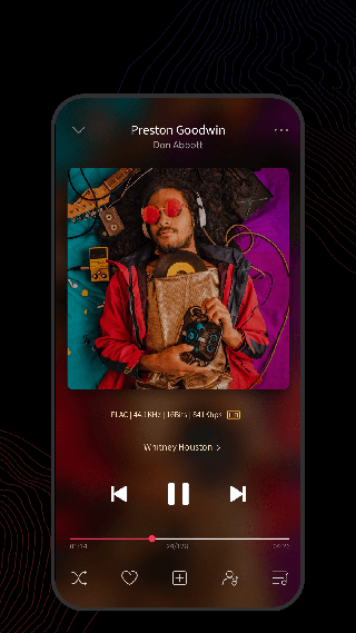 飞傲音乐fiio Music(音乐播放器) v3.3.0 安卓版图2