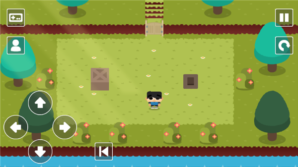 推箱子乐园DX手机版图2