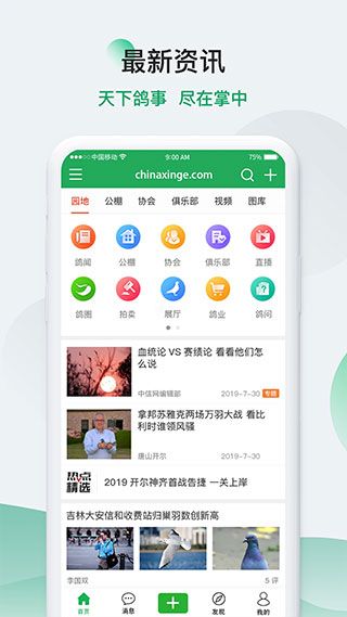 中信网-信鸽信息网图1