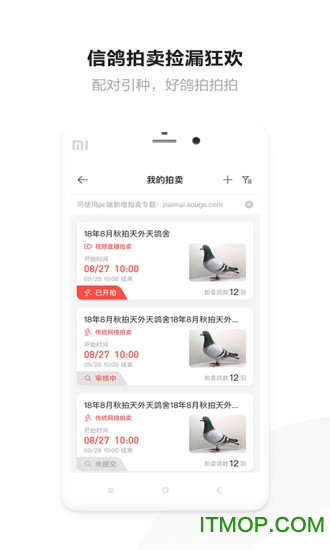搜鸽网手机版图1