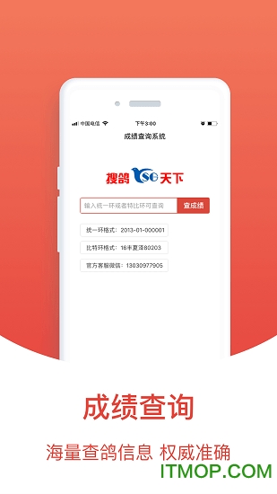 赛鸽头条搜鸽天下图1