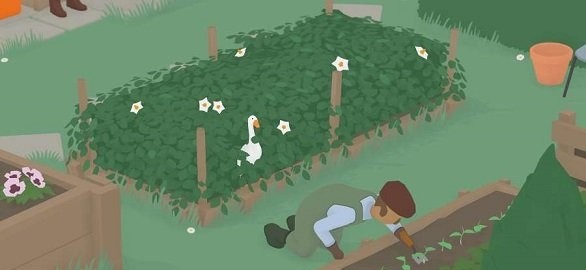Jump Goose Jump!
