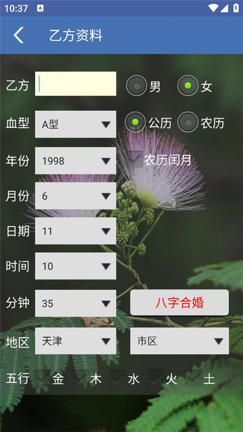 八字合婚图2