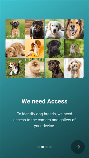 狗狗鉴定器app图3