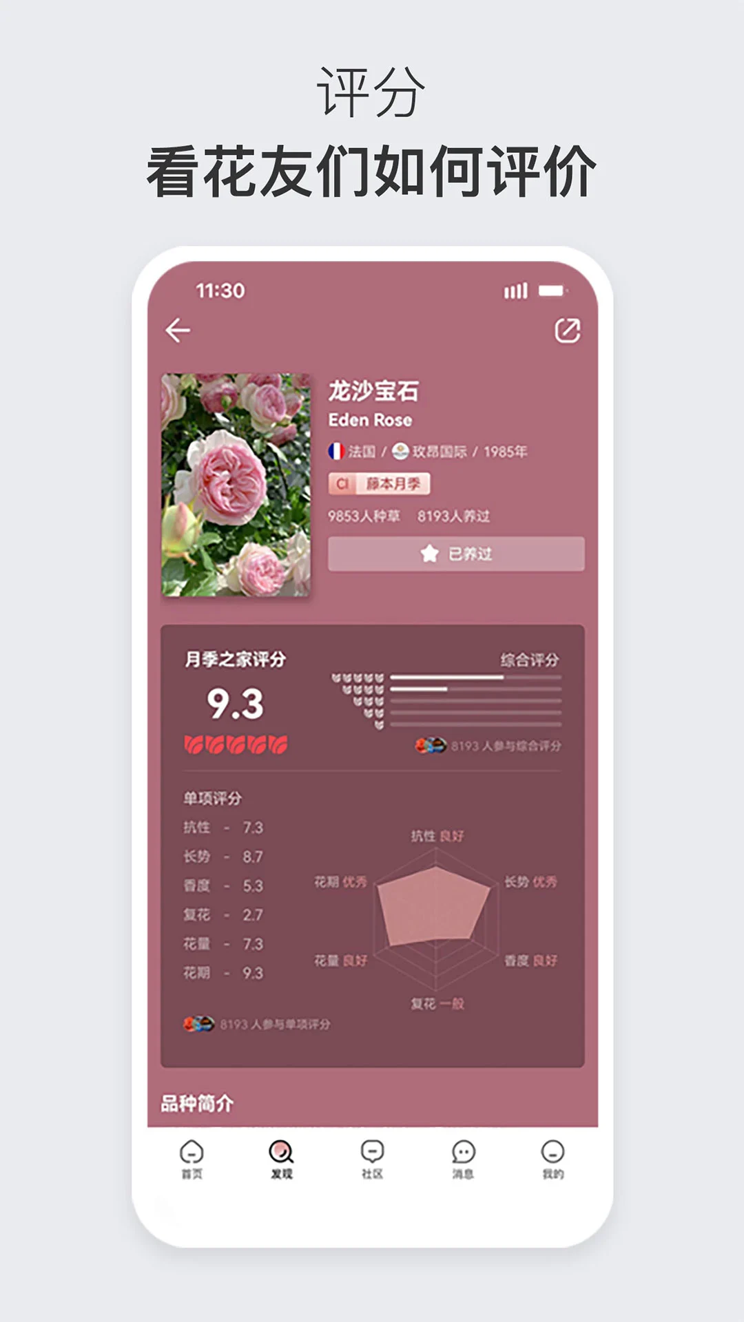 月季之家图2