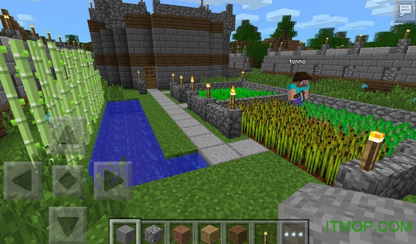 我的世界国际版苹果手机版图3