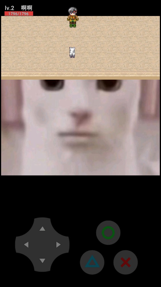 猫咪惊魂夜