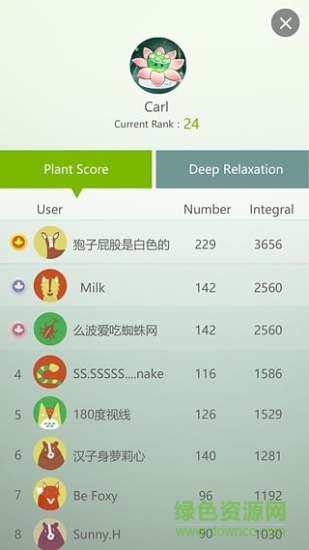 禅定花园图3