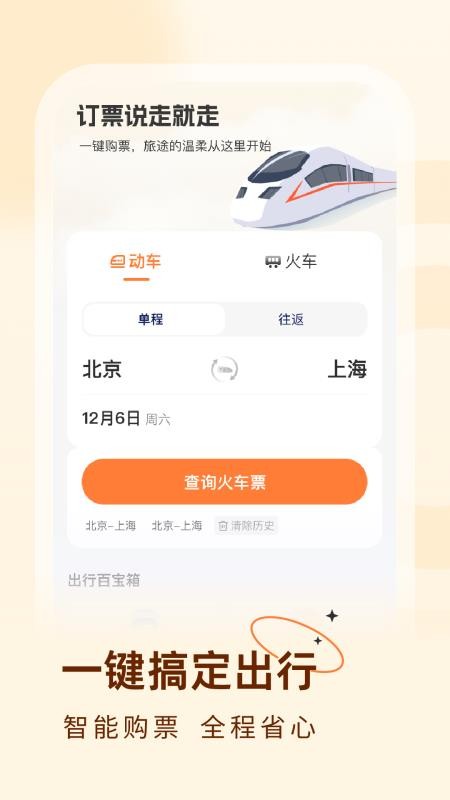 火车票易查表