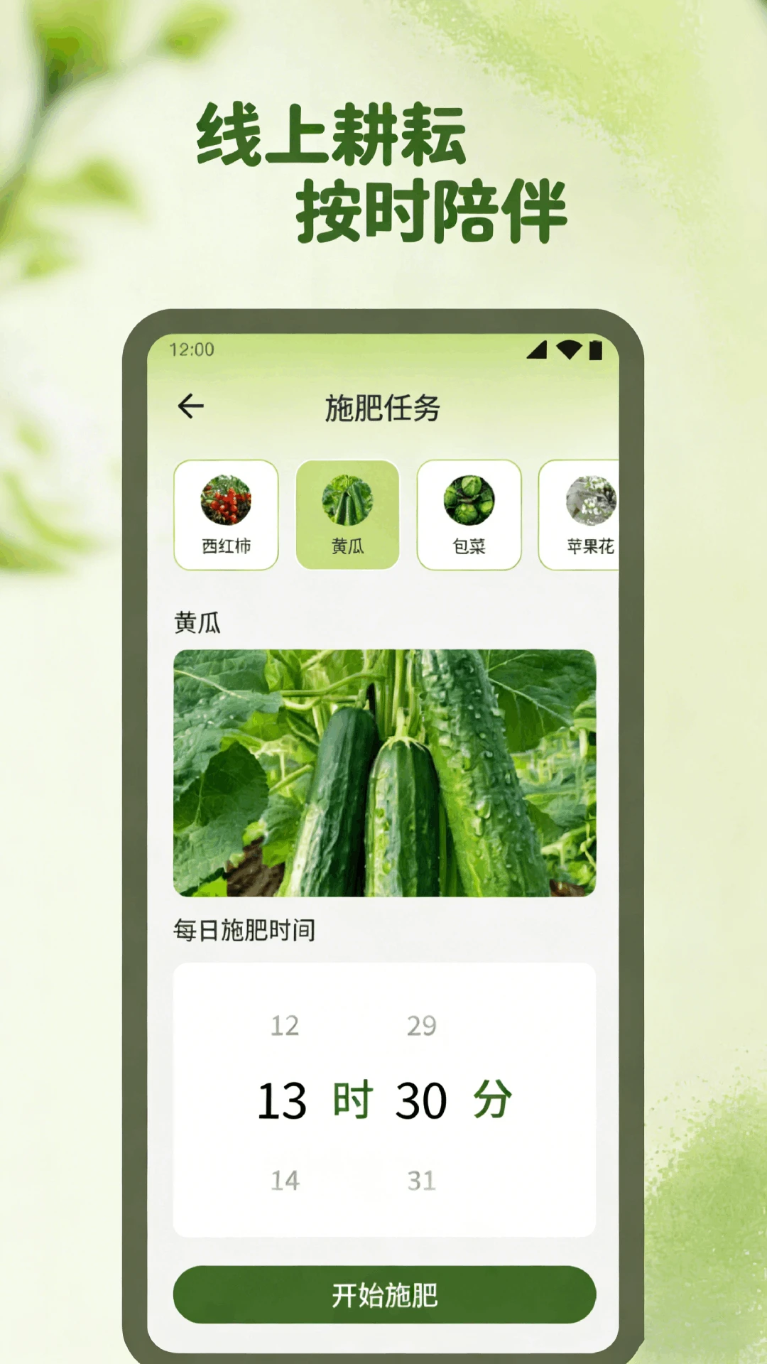 花朵小院趣植图2