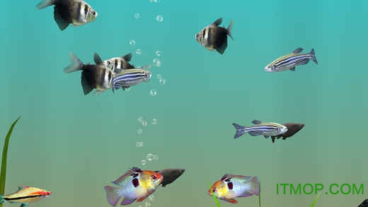 我的水族箱3D(MyLake 3D Aquarium)图2