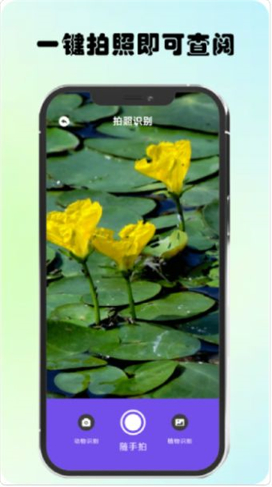万物识图