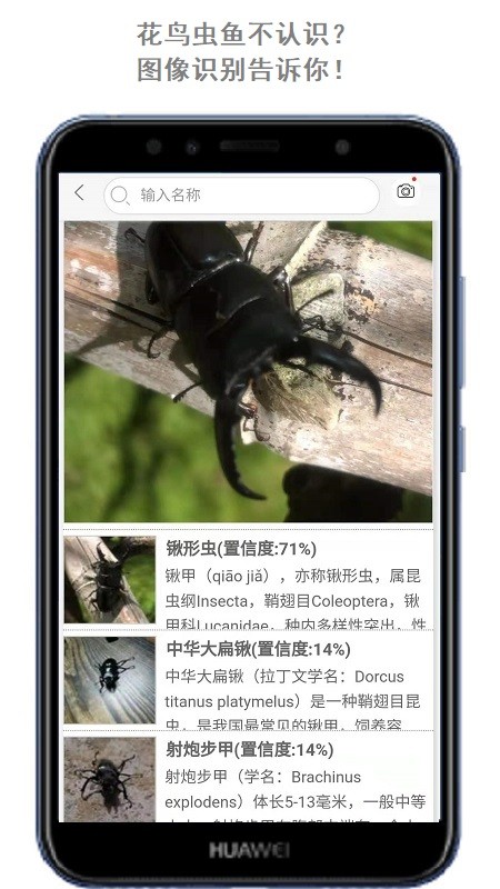 万物头条 万物头条