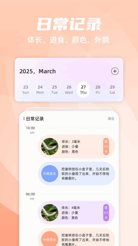 养蚕日常图4